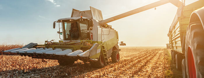 Image representing Agriculture program group